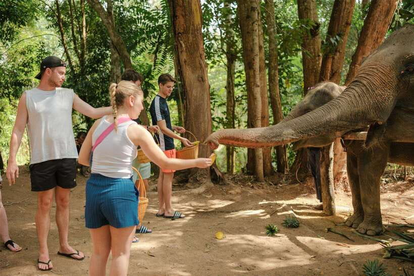 Krabi: Elephant Sanctuary (near Ao Nang) Visit - A short visit with a clear purpose