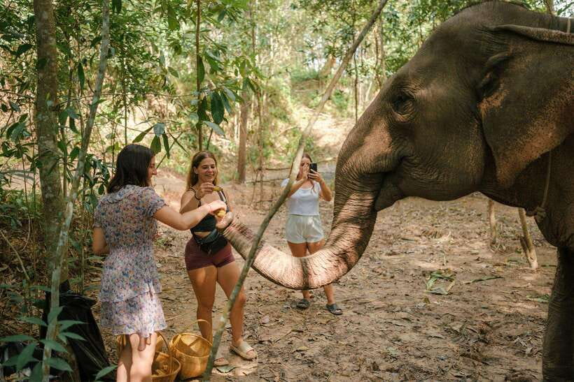 Krabi: Elephant Sanctuary (near Ao Nang) Visit - Is 30 minutes enough for $22?