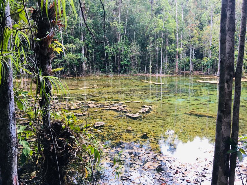 Krabi: Emerald Pool and Hot Springs Waterfall Half-Day Trip - Should you book the Emerald Pool and Hot Springs tour?