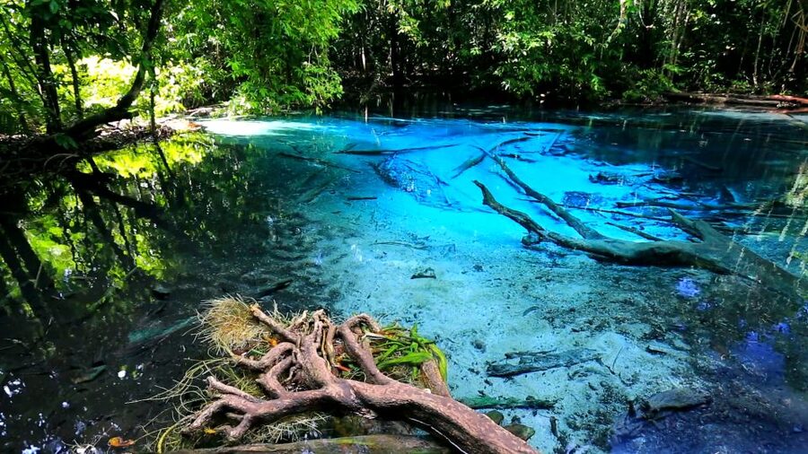 Krabi: Emerald Pool and Hot Springs Waterfall Half-Day Trip - What to bring and how to prepare