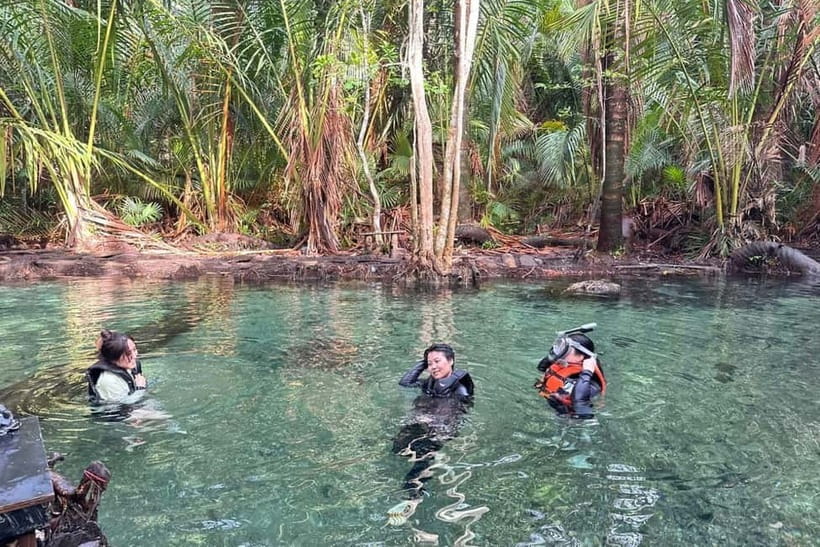 Krabi: Emerald Pool, Hot Springs, and Kayaking Tour - Transport, pickup areas, and the day’s pace