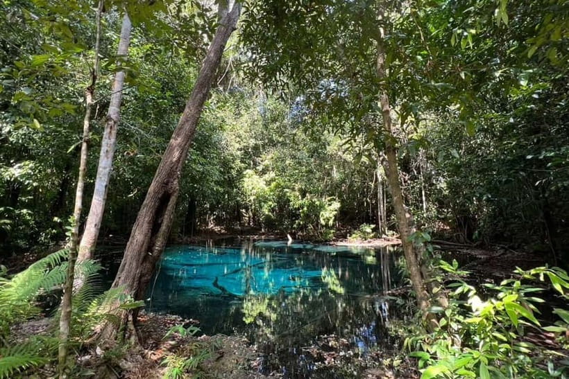 Krabi: Emerald Pool, Hot Springs, and Kayaking Tour - What to bring for a smoother day