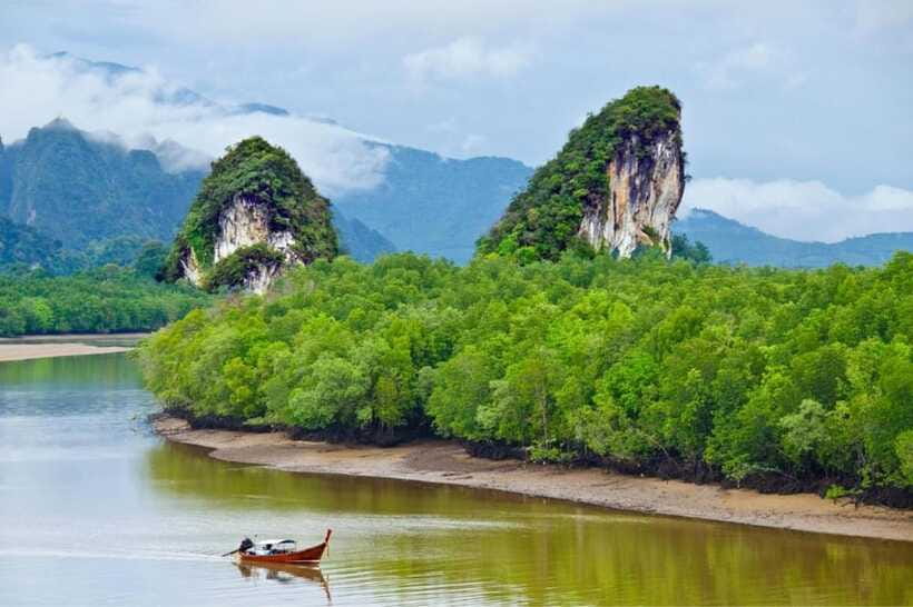 Krabi: Emerald Pool, Hot Springs & Krabi Town Day Tour - The extra fees change the value calculation