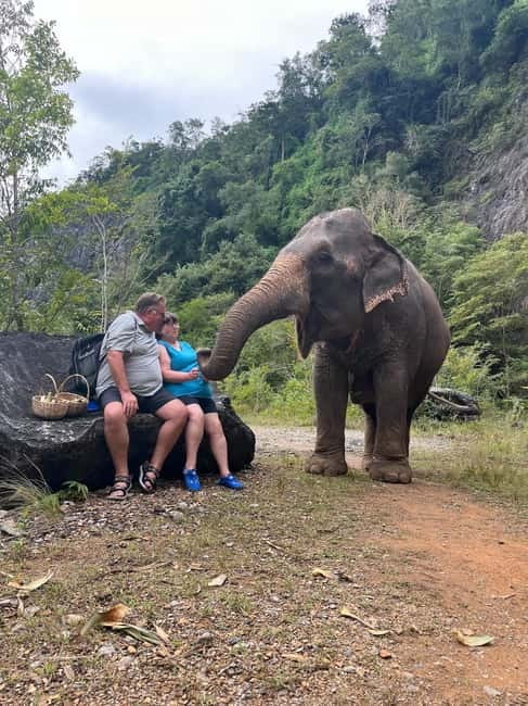 Krabi: Ethical Elephant Sanctuary & Tiger Cave Temple Tour - Is $42 a fair price?