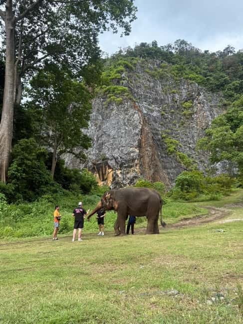 Krabi: Ethical Elephant Sanctuary & Tiger Cave Temple Tour - What ethical elephant care means here