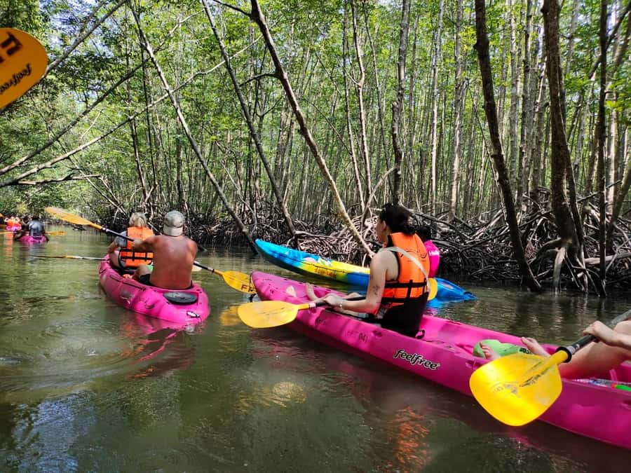 Krabi: Half-Day Kayak Adventure at Ao Thalane - Key points to know before booking