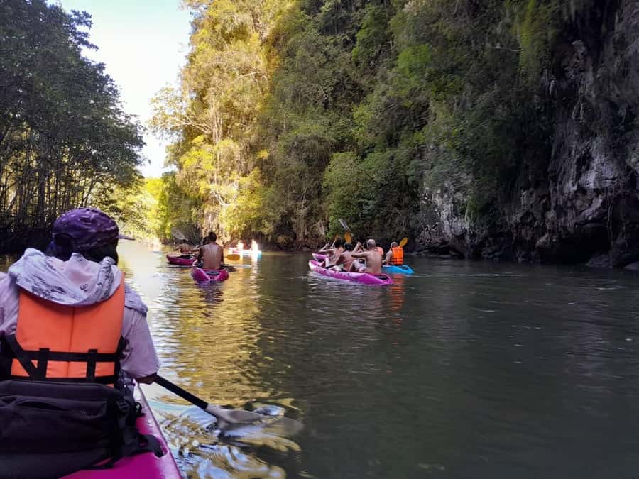 Krabi: Half-Day Kayak Adventure at Ao Thalane - Paddling 5 to 7 kilometers through the mangroves