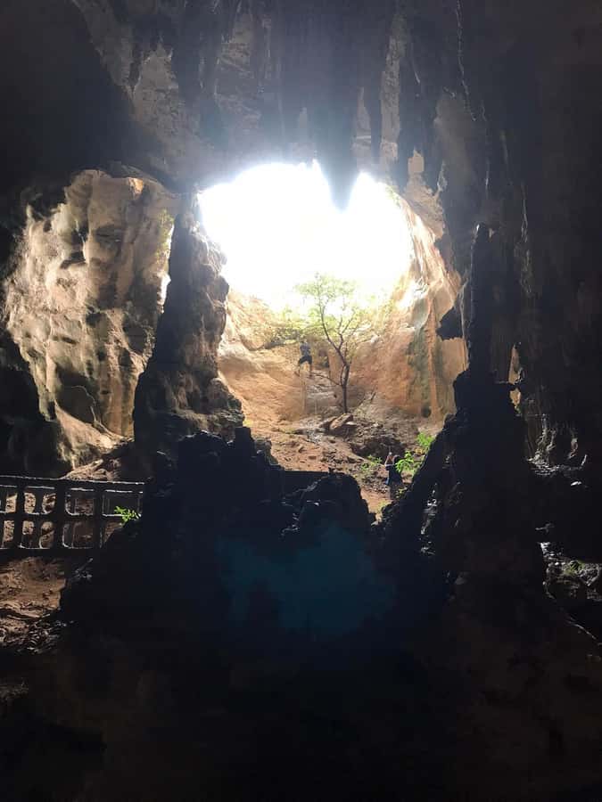 Krabi: Half-Day Mangrove Boat Trip And Khao Khanap Nam Cave - Key points before you book