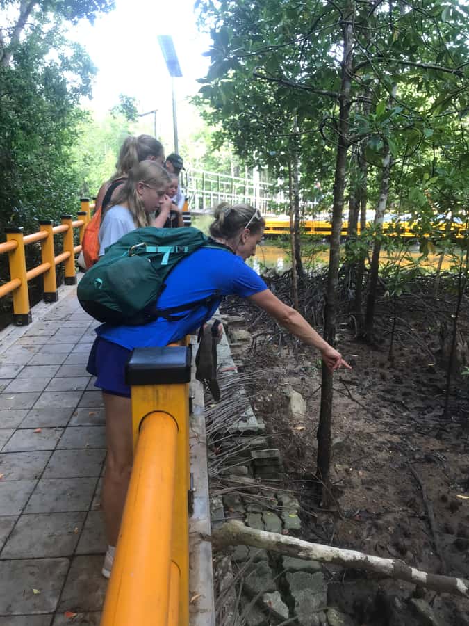 Krabi: Half-Day Mangrove Boat Trip And Khao Khanap Nam Cave - A short visit with uneven guide support