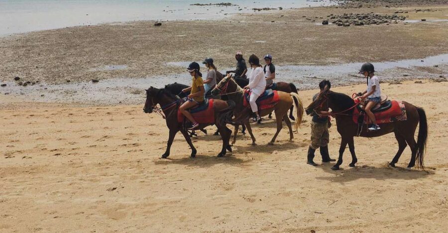 Krabi: Horseback Riding on the Beach - From Ao Nang to the Ao Nam Mao Stables