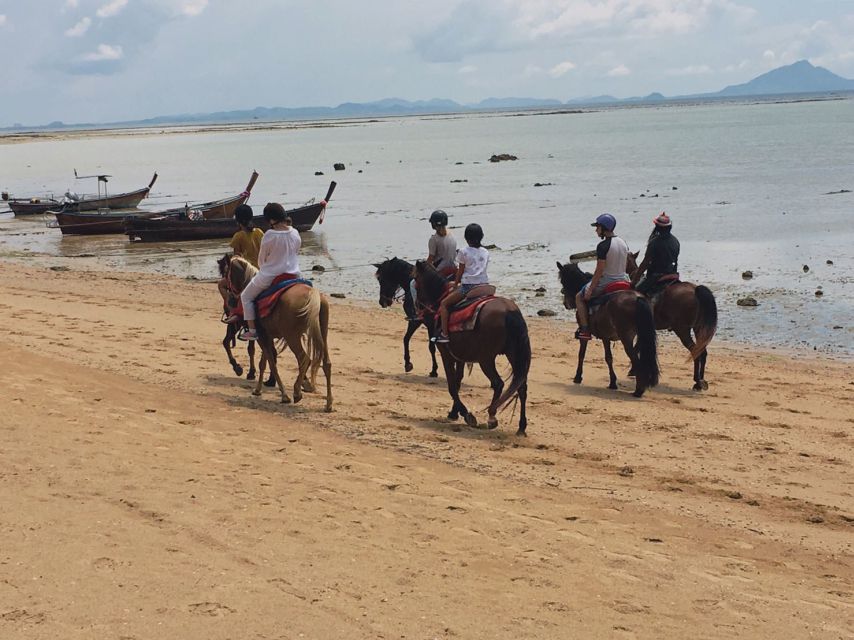 Krabi: Horseback Riding on the Beach - The Shellfish Fossil Beach at Ban Laem Pho