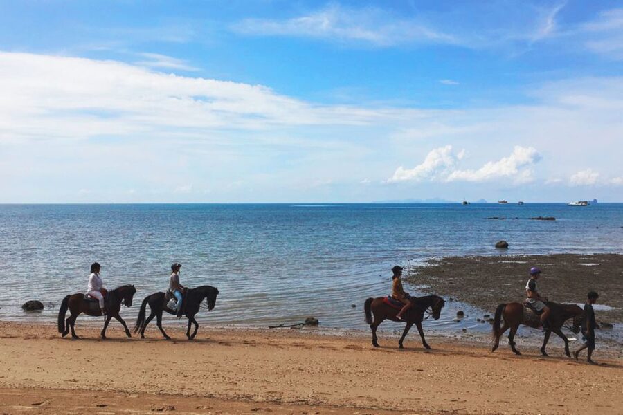 Krabi: Horseback Riding on the Beach - Villages, Plantations, and the Sunset Option