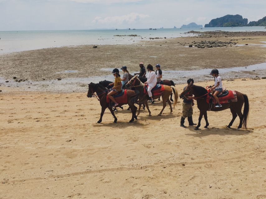 Krabi: Horseback Riding on the Beach - Booking, Cancellation, and Timing Tips