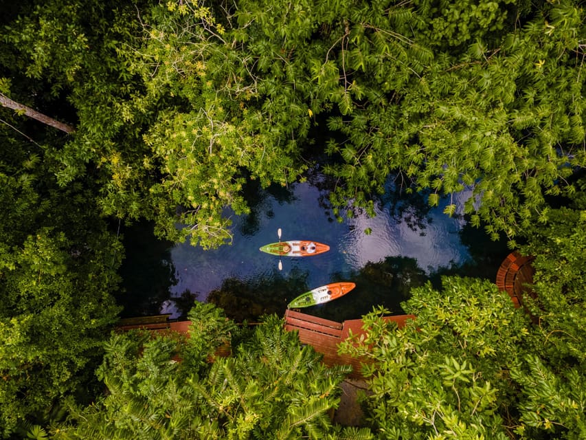 Krabi: Kayak Adventure through Ao Thalane Mangrove Forest - Is two hours of kayaking too much?