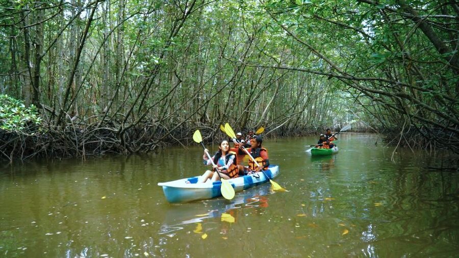 Krabi: Kayak in Mangrove Forest with Meal Aonang - The quick take