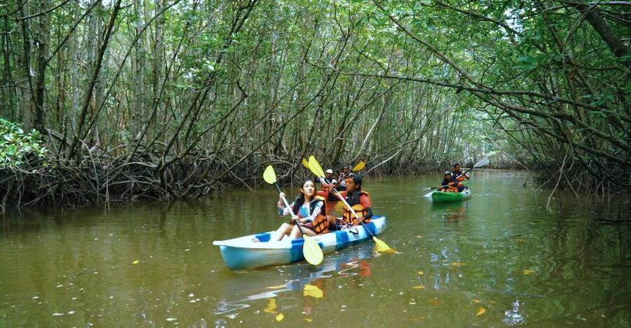 Krabi: Kayak in Mangrove Forest with Meal Aonang - Lunch beside the mangroves
