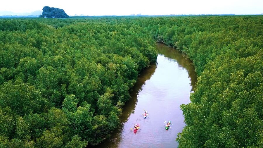 Krabi: Kayak in Mangrove Forest with Meal Aonang - What the $32 price really buys you