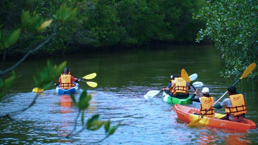 Krabi: Kayak in Mangrove Forest with Meal Aonang - Getting onto the water with a small group