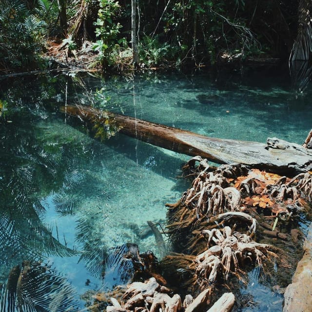 Krabi kayaking and swimming clongrood Tour - What makes Klong Root different from a standard Krabi outing