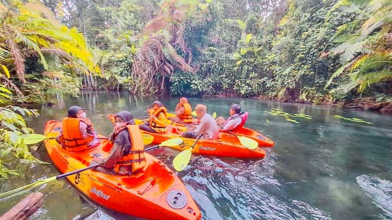 Krabi kayaking and swimming clongrood Tour - Who will enjoy this tour most?
