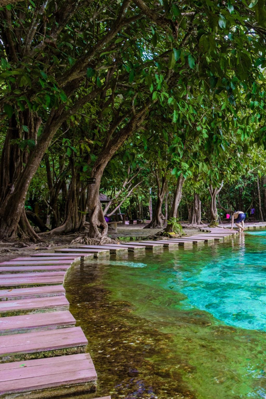 Krabi: Kayaking, Crystal Lagoon, and Fish Spa in Klong Root - Kayaking through roots, reeds, and clear water