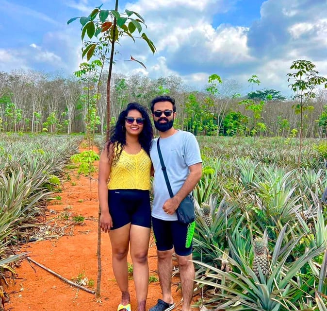 Krabi: Kayaking, Crystal Lagoon, and Fish Spa in Klong Root - The pineapple farm stop