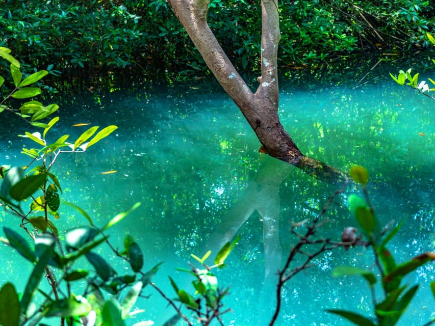 Krabi: Kayaking, Crystal Lagoon, and Fish Spa in Klong Root - Why the sunset departure is worth considering