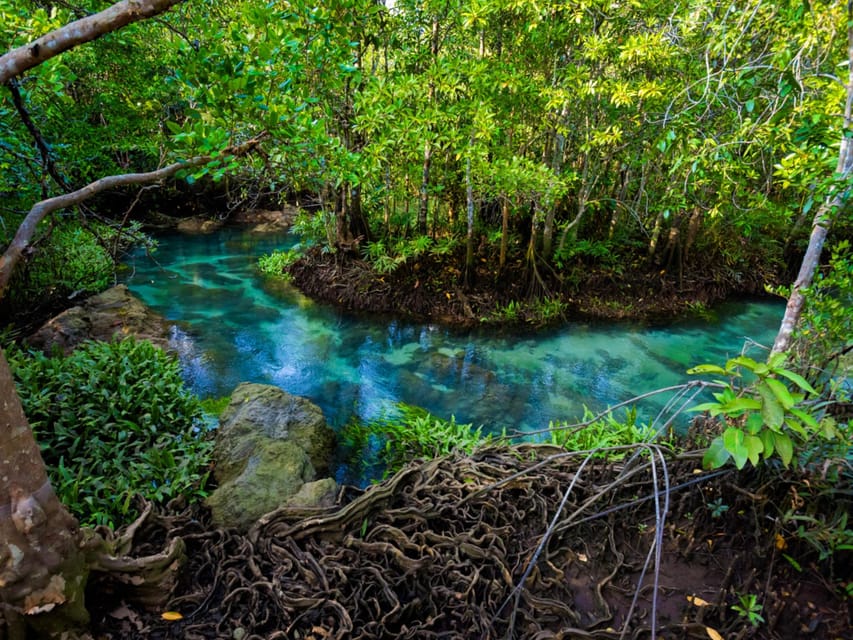 Krabi: Kayaking, Crystal Lagoon, and Fish Spa in Klong Root - Is $38 good value for this tour?
