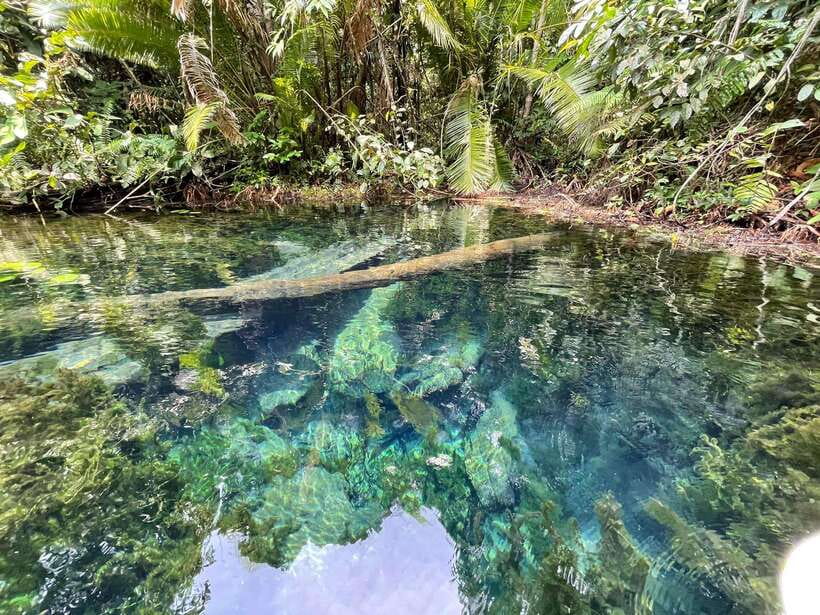 Krabi: Klong Root (Crystal lake) Kayaking tour - Five things to know before you go