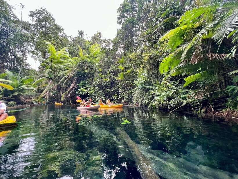 Krabi: Klong Root (Crystal lake) Kayaking tour - Why Klong Root is different from a standard kayak trip