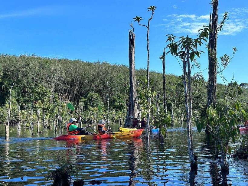 Krabi: Klong Root (Crystal lake) Kayaking tour - Paddling through the clear-water canal