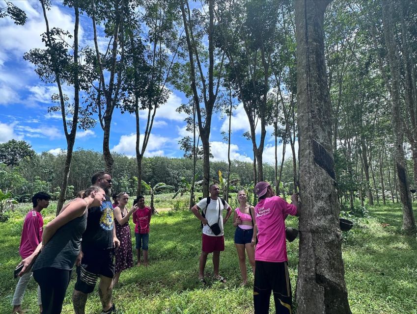 Krabi: Klong Root Kayaking Viewpoint,Fish Feeding and more - Kayaking through Khlong Root and Khlong Nam Sai