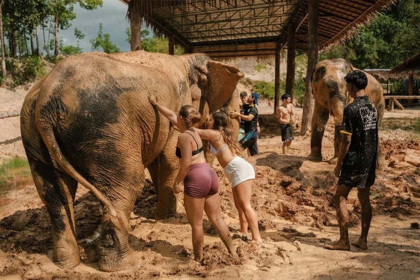 Krabi: Love Elephant Sanctuary Tour - Washing The Elephants In Water