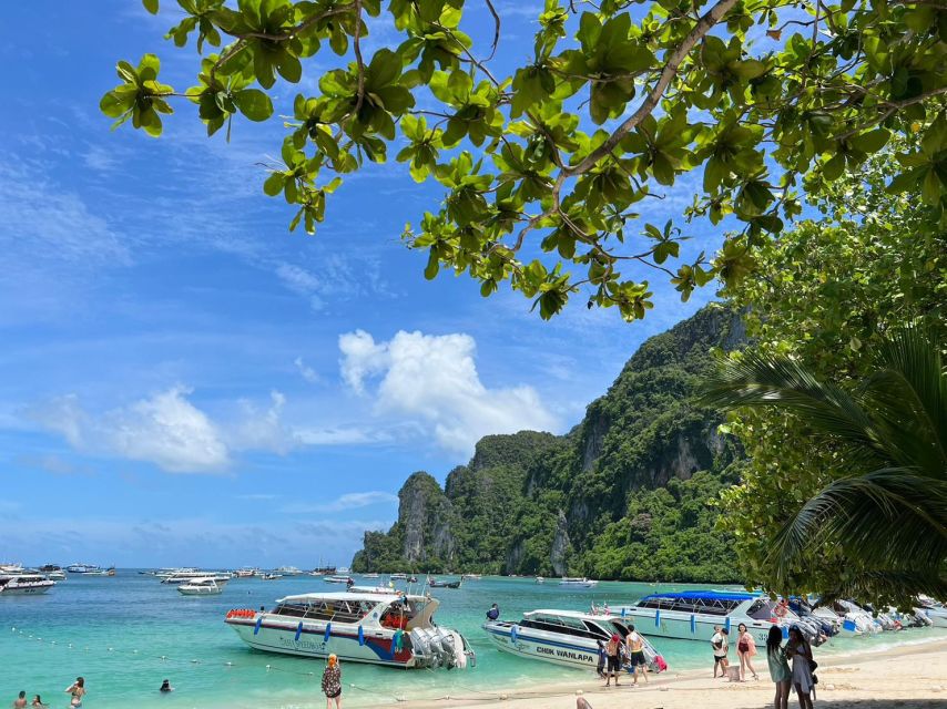 Krabi: One Day Phi Phi Island by speed boat ( Join ) - Monkey Bay: quick macaque photos and snorkeling