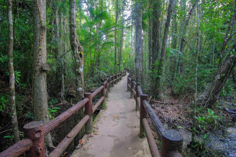 Krabi Outback Explorer with Visit of Tiger Cave Temple - Key Points Before You Book