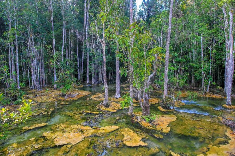Krabi Outback Explorer with Visit of Tiger Cave Temple - The Blue Pool Hike and a Seasonal Limitation