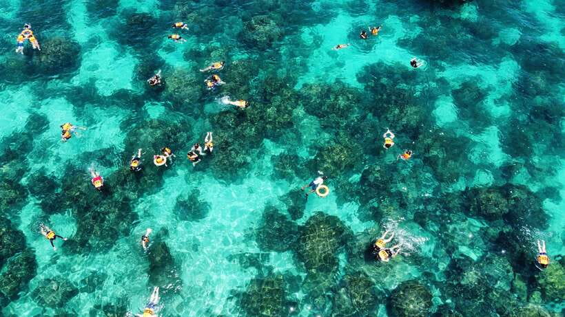 Krabi: Phi Phi and 4 Islands with Snorkeling by Speed Boat - Key points at a glance
