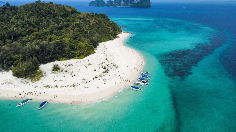 Krabi: Phi Phi Islands Speedboat Tour with Buffet Lunch - What this Phi Phi day trip does well