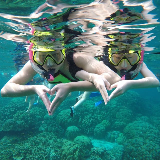 Krabi: Phi Phi Islands Speedboat Tour with Buffet Lunch - Viking Cave and a glimpse of swiftlet nests
