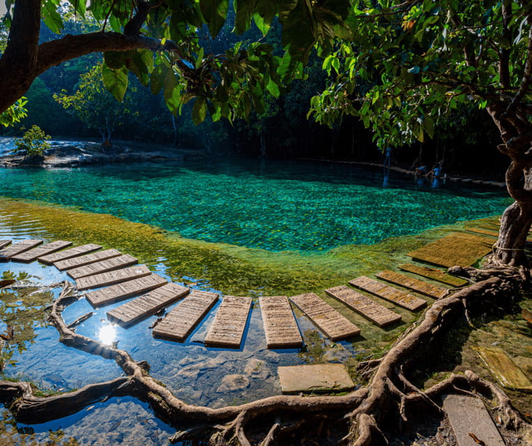 Krabi: Rainforest Jungle Tour with Emerald Pool & Hot Spring - From your hotel to Krabi’s inland forest