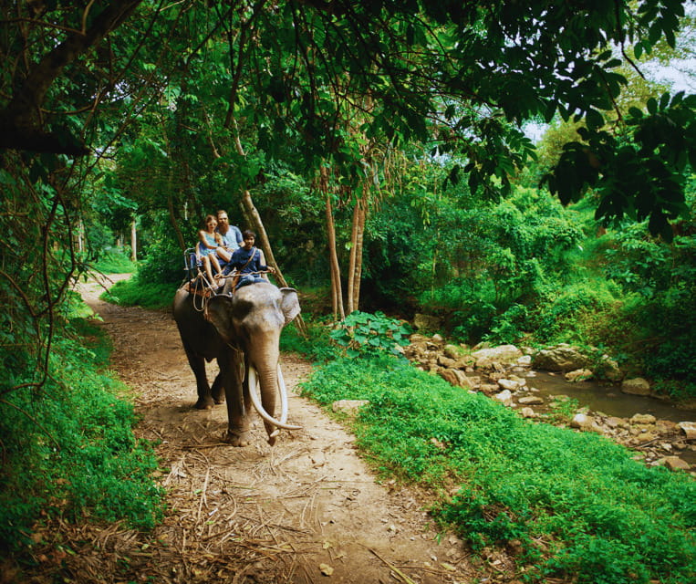 Krabi: Rainforest Jungle Tour with Emerald Pool & Hot Spring - Lunch, drinks, and the timing problem