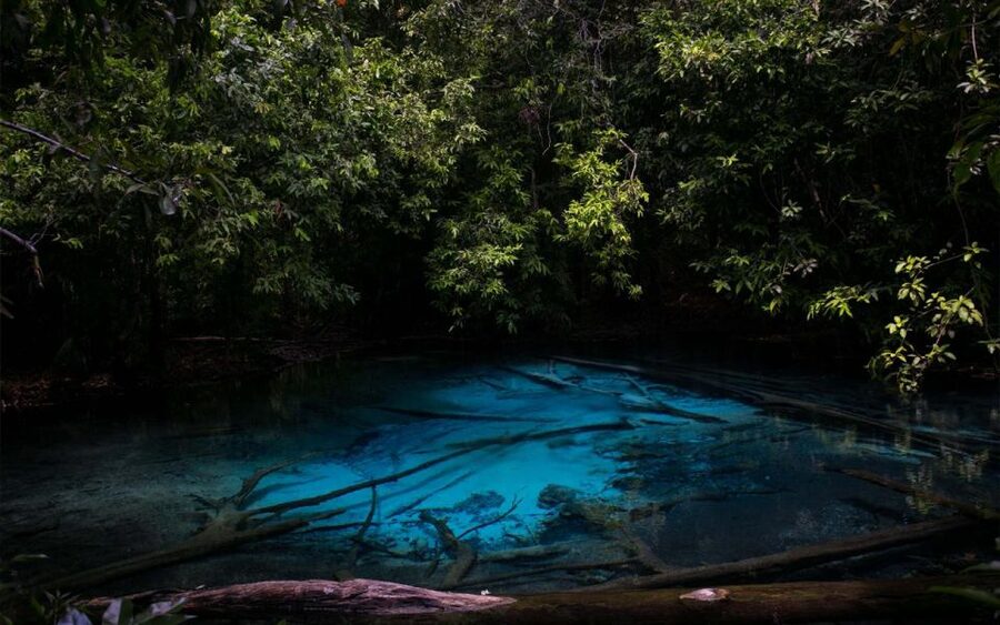 Krabi: Tiger Cave, Hot Springs and Emerald Pool Jungle Tour - A long but worthwhile day beyond Krabi’s beaches