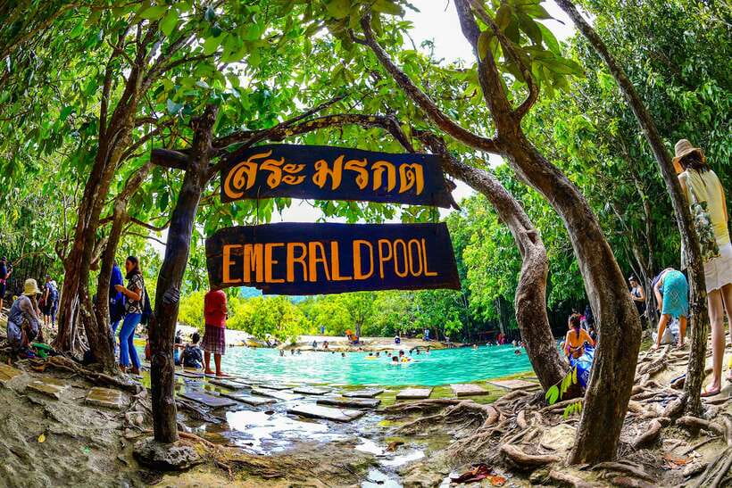 Krabi: Tiger Cave Temple, Emerald Pool and Hot Springs Tour - Who should book this tour?
