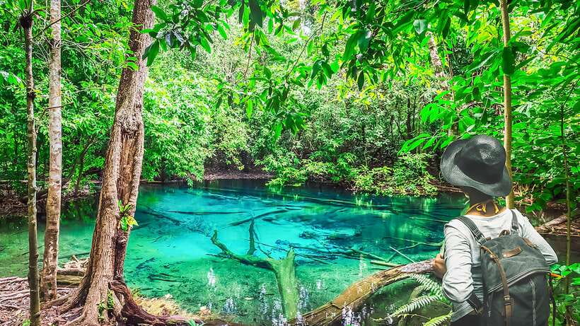 Krabi: Tiger Cave Temple, Emerald Pool and Hot Springs Tour - Blue Pool: a short forest walk to vivid water