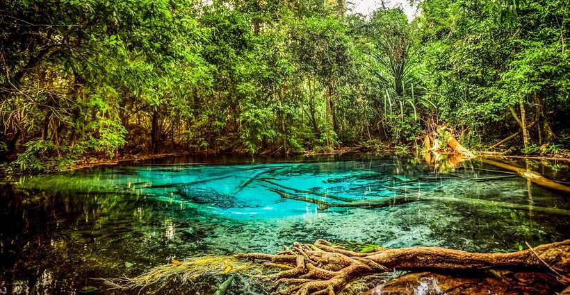 Krabi: Tiger Cave Temple, Emerald Pool and Hot Springs Tour - What to pack and what to wear