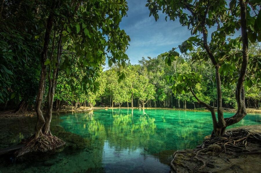 Krabi: Tiger Temple, Hot Springs & Crystal Pool Jungle Tour - Key points before you book