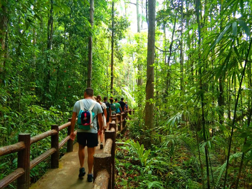 Krabi: Tiger Temple, Hot Springs & Crystal Pool Jungle Tour - The 40°C hot spring waterfall