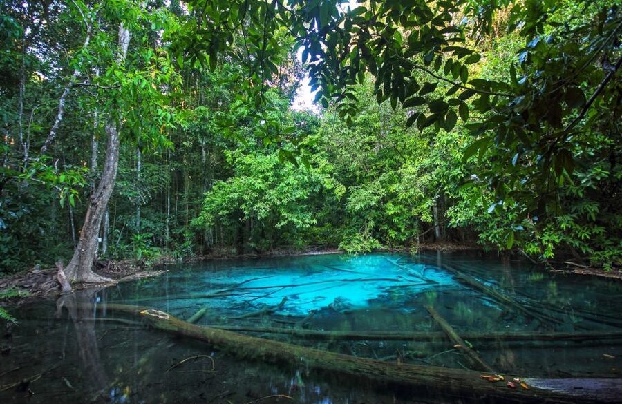 Krabi: Tiger Temple, Hot Springs & Crystal Pool Jungle Tour - Is $56 a fair price?