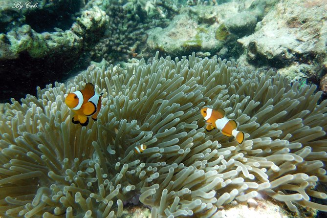 Krabi to James Bond and Hong Islands Offbeat Speedboat Tour - Why this route is different from a standard island day
