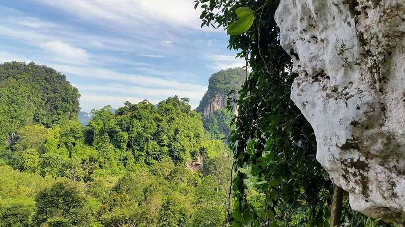 Krabi: Ziplining with Abseiling and Rock Climbing Options - The 250-meter line and the tree ladder test